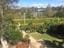 Eden Gardens + Swane's Nursery Tour Image -5b2c6c3d3bbbe